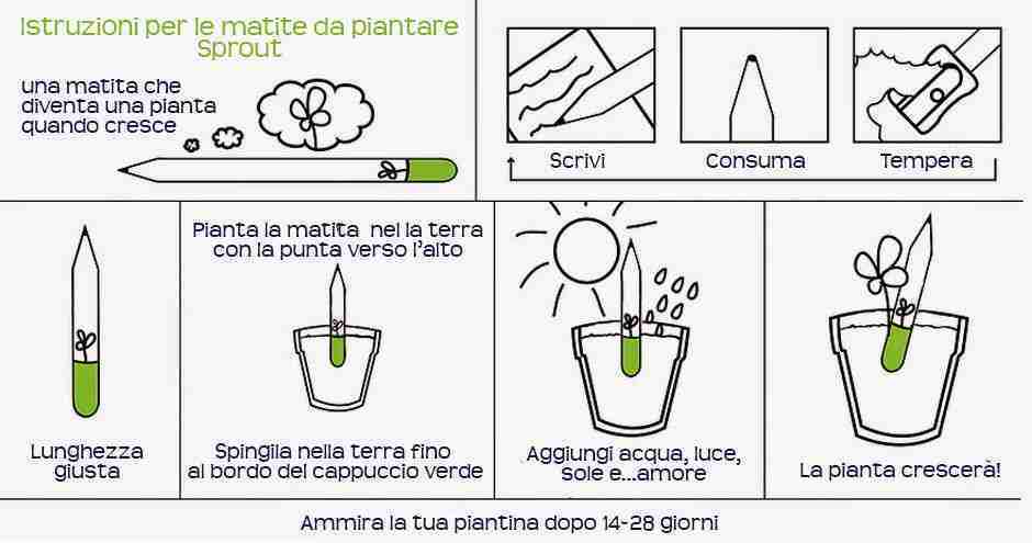 gadget ecologici personalizzati